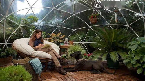 陽(yáng)光的味道