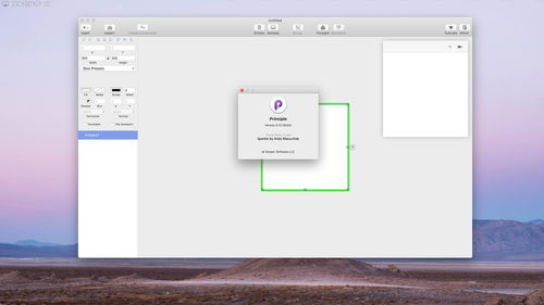 mac快速原型動(dòng)畫(huà)設(shè)計(jì)軟件principle v5.12 5024 版