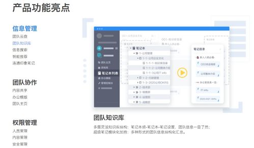 協同文檔哪家強 一文帶你速覽頭部產品