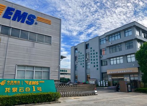 浙江龍泉 竹木產品跨界跨境 產業(yè)發(fā)展提質升級