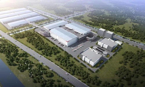 堅持發展為先 民生為本,以熱血擔當唱響 亭林故里 魅力金千燈