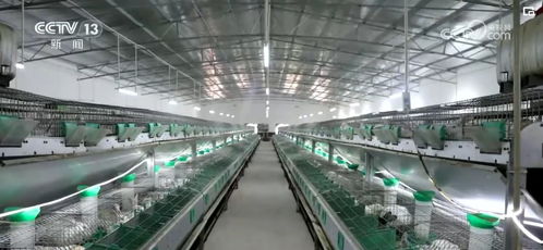 開發(fā)衍生農產品 發(fā)展創(chuàng)意農業(yè) 鄉(xiāng)村振興展現 別樣美