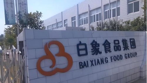 老牌歸來與新秀退潮 康師傅復出與白象失速背后的市場啟示